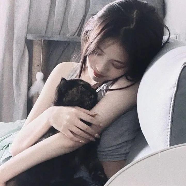 轻微盗窃案